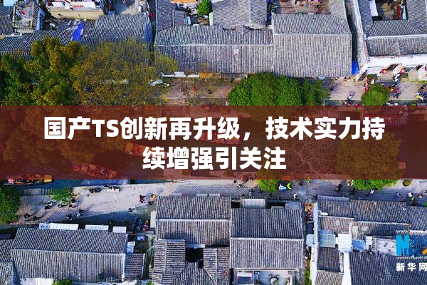 国产TS创新再升级，技术实力持续增强引关注