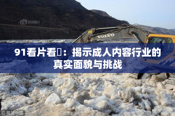 91看片看婬：揭示成人内容行业的真实面貌与挑战