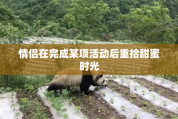 情侣在完成某项活动后重拾甜蜜时光