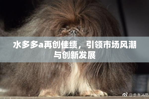 水多多a再创佳绩，引领市场风潮与创新发展