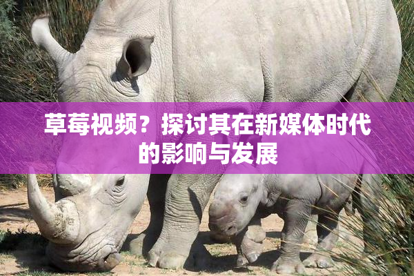 草莓视频？探讨其在新媒体时代的影响与发展