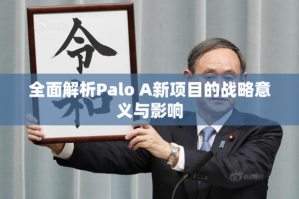 全面解析Palo A新项目的战略意义与影响