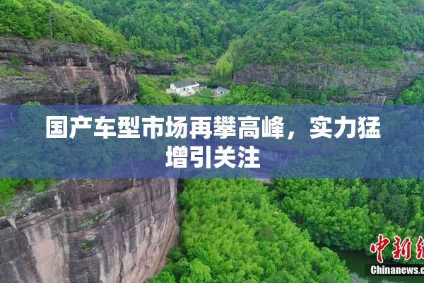 国产车型市场再攀高峰，实力猛增引关注