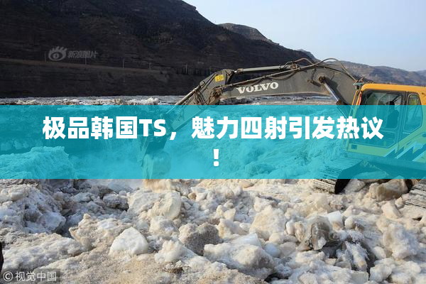 极品韩国TS，魅力四射引发热议！