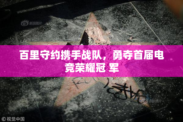 百里守约携手战队，勇夺首届电竞荣耀冠 军