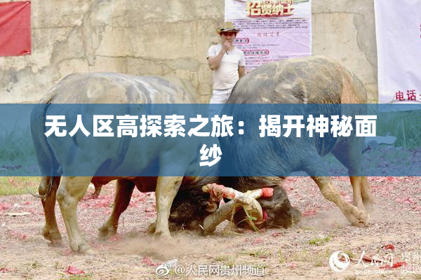 无人区高探索之旅：揭开神秘面纱