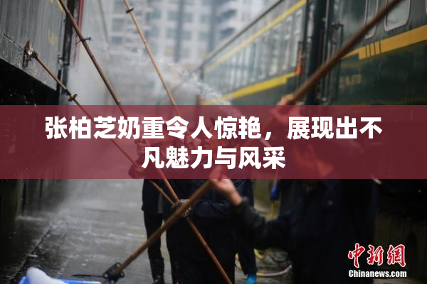 张柏芝奶重令人惊艳，展现出不凡魅力与风采