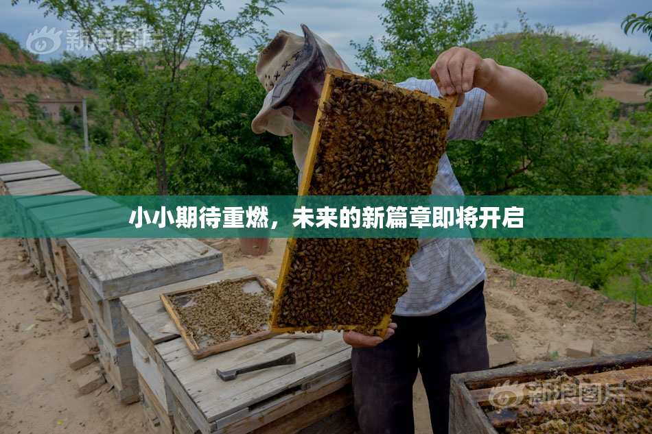 小小期待重燃，未来的新篇章即将开启