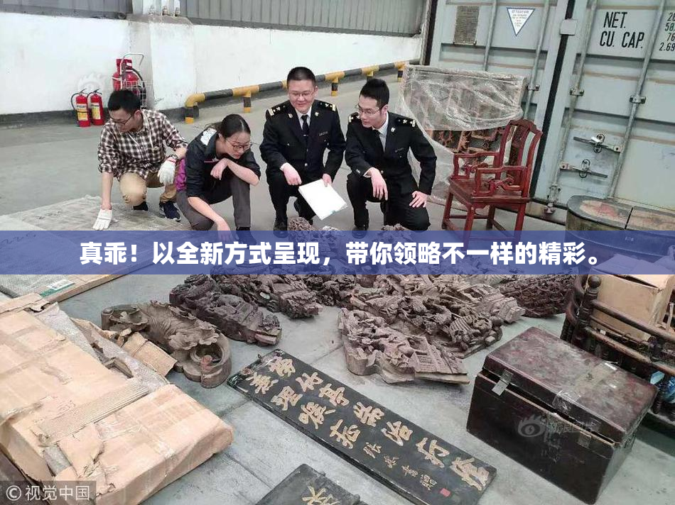 真乖！以全新方式呈现，带你领略不一样的精彩。