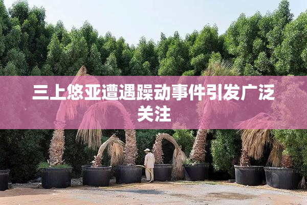 三上悠亚遭遇躁动事件引发广泛关注