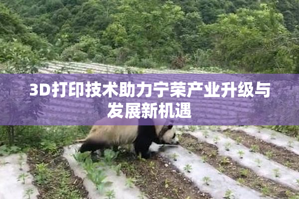 3D打印技术助力宁荣产业升级与发展新机遇