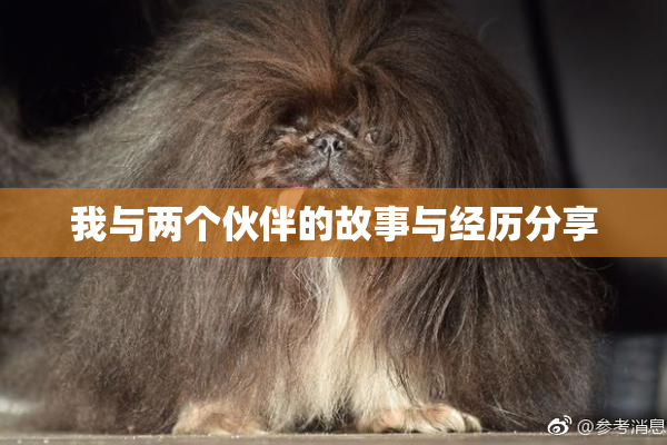 我与两个伙伴的故事与经历分享