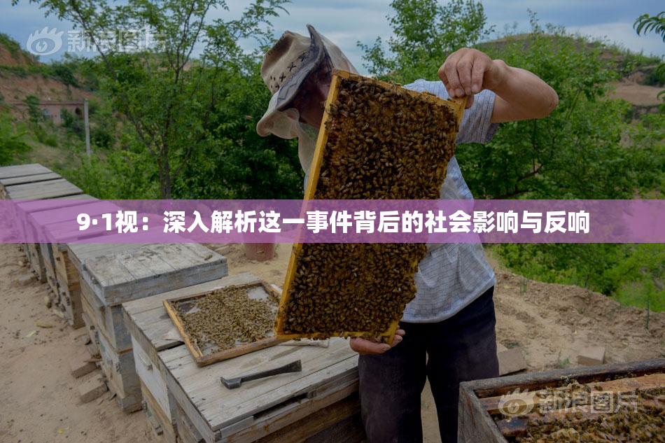 9·1视：深入解析这一事件背后的社会影响与反响