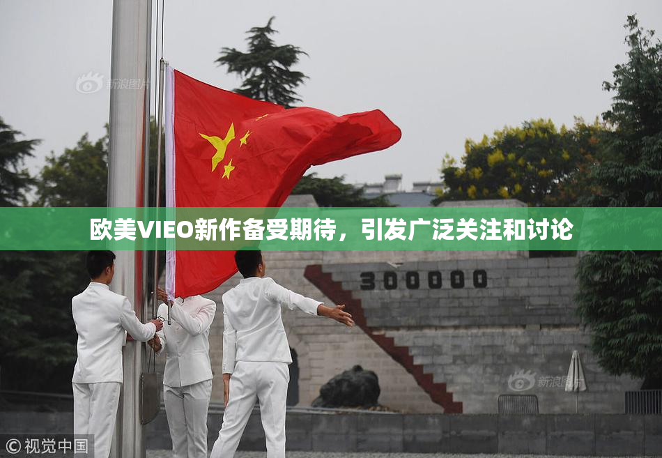 欧美VIEO新作备受期待，引发广泛关注和讨论