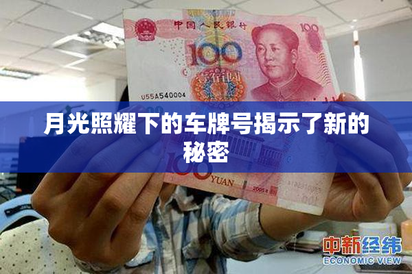 月光照耀下的车牌号揭示了新的秘密