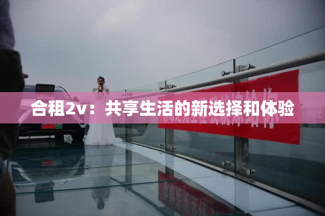 合租2v：共享生活的新选择和体验