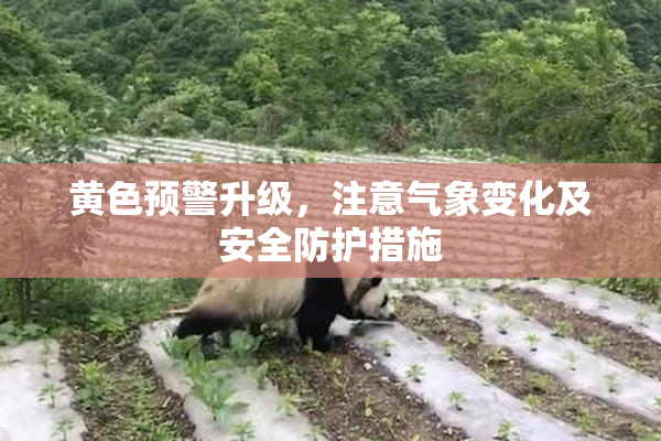 黄色预警升级，注意气象变化及安全防护措施