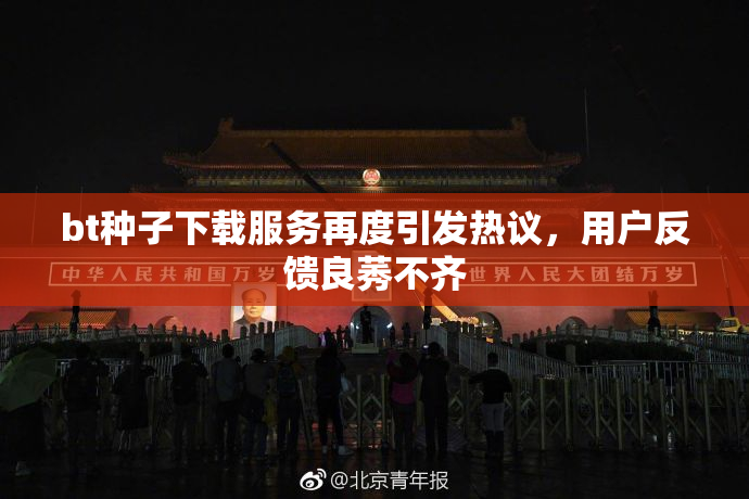 bt种子下载服务再度引发热议，用户反馈良莠不齐