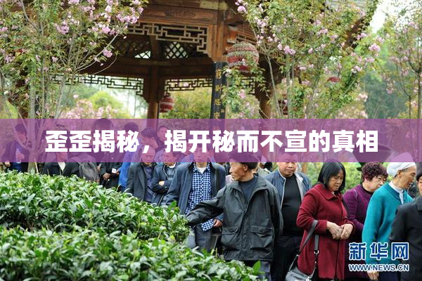 歪歪揭秘，揭开秘而不宣的真相