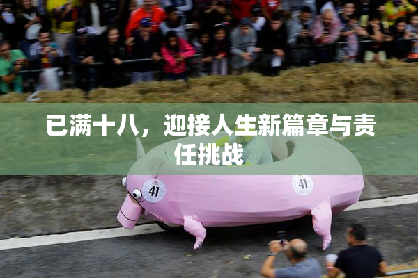已满十八，迎接人生新篇章与责任挑战