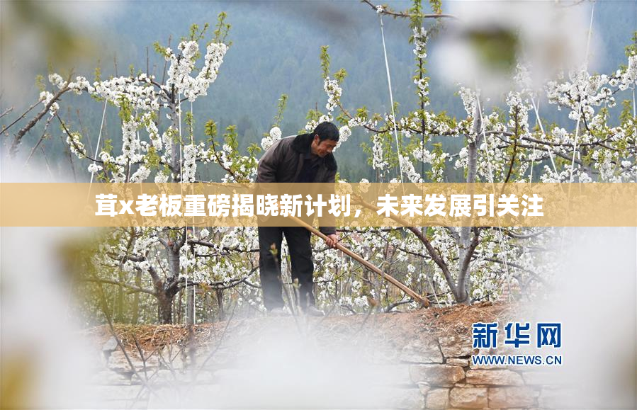 茸x老板重磅揭晓新计划，未来发展引关注