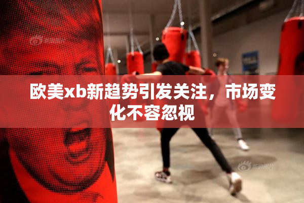 欧美xb新趋势引发关注，市场变化不容忽视