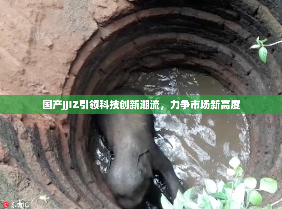 国产JJIZ引领科技创新潮流，力争市场新高度