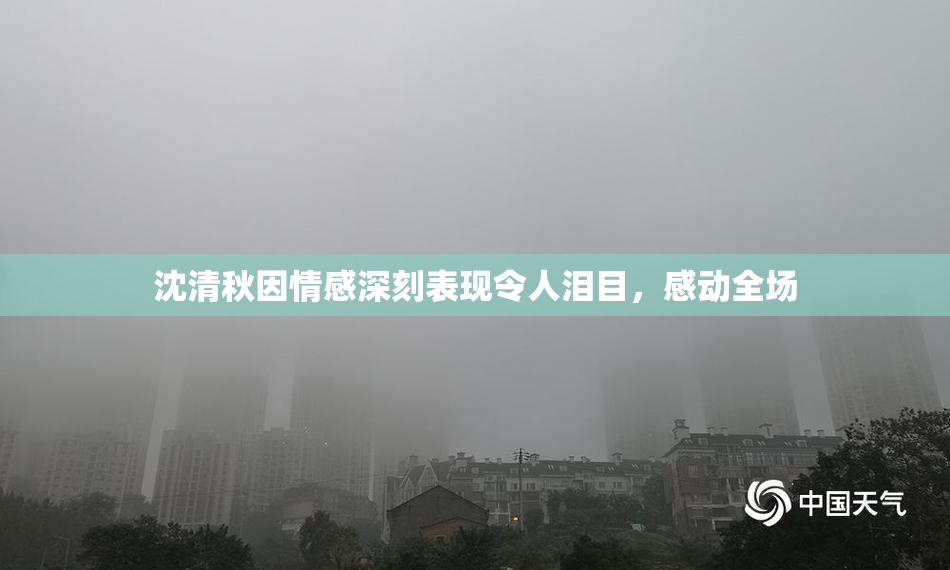 沈清秋因情感深刻表现令人泪目，感动全场