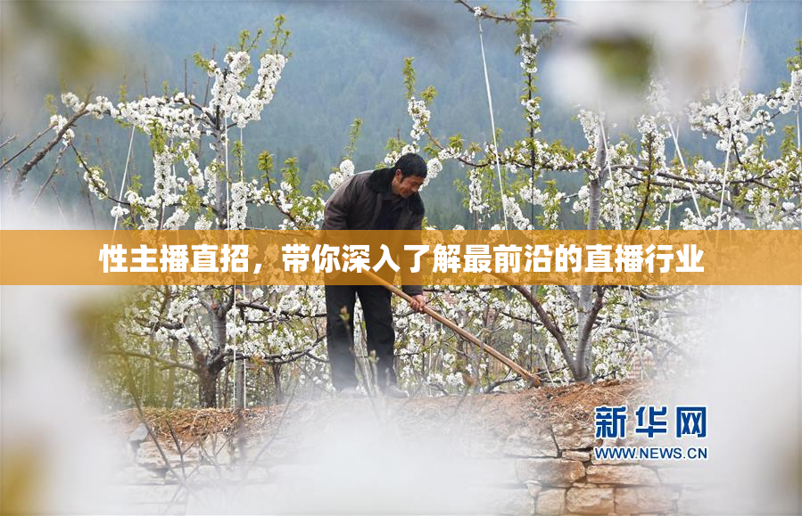 性主播直招，带你深入了解最前沿的直播行业