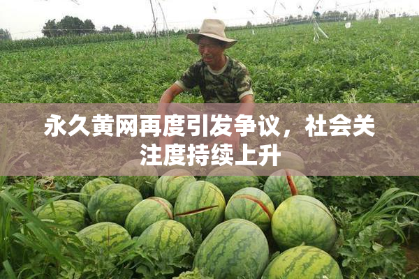 永久黄网再度引发争议，社会关注度持续上升