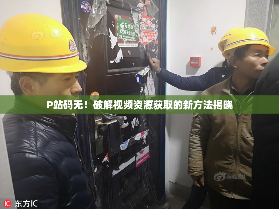 P站码无！破解视频资源获取的新方法揭晓