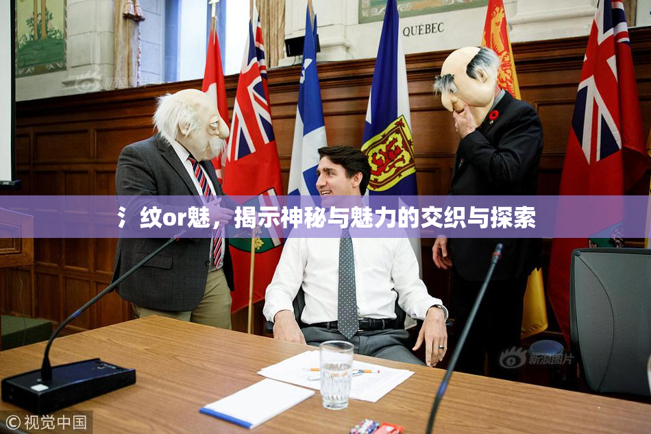 氵纹or魅，揭示神秘与魅力的交织与探索