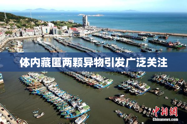 体内藏匿两颗异物引发广泛关注