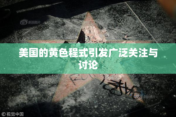 美国的黄色程式引发广泛关注与讨论