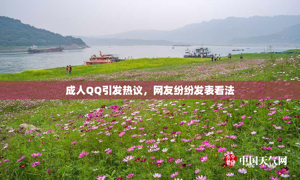 成人QQ引发热议，网友纷纷发表看法