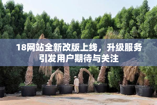 18网站全新改版上线，升级服务引发用户期待与关注