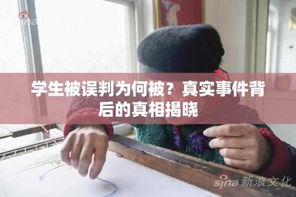 学生被误判为何被？真实事件背后的真相揭晓