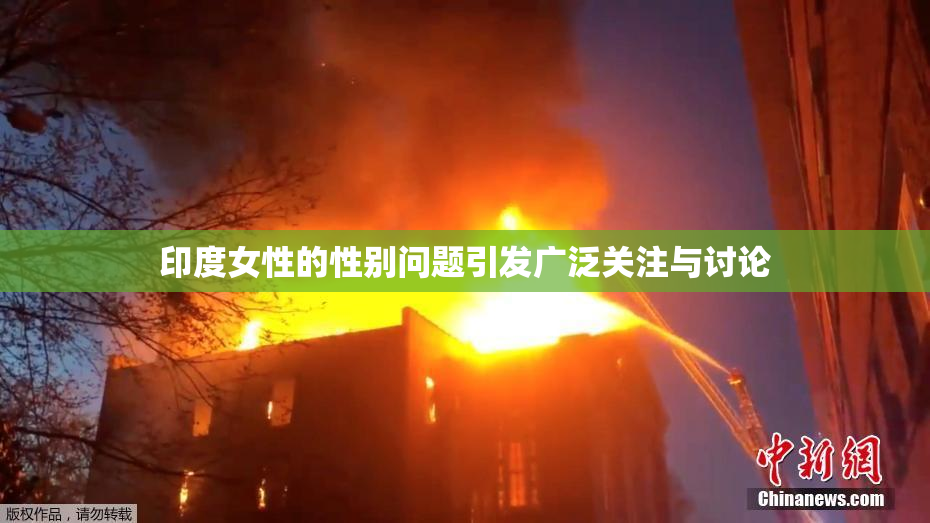印度女性的性别问题引发广泛关注与讨论