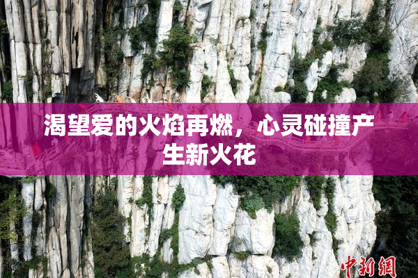 渴望爱的火焰再燃，心灵碰撞产生新火花