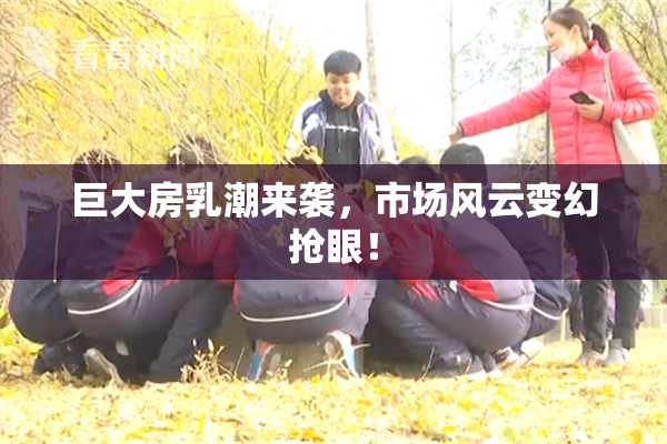 巨大房乳潮来袭，市场风云变幻抢眼！