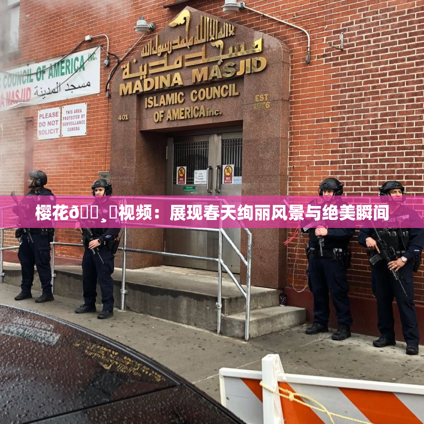 樱花🌸‌视频：展现春天绚丽风景与绝美瞬间