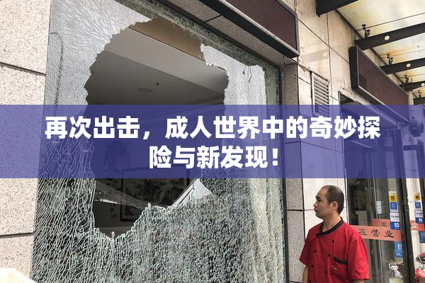 再次出击，成人世界中的奇妙探险与新发现！