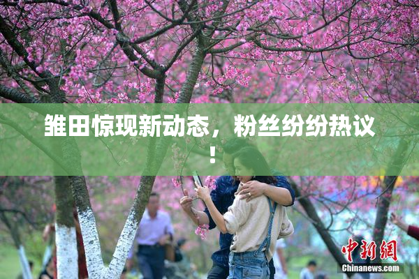 雏田惊现新动态，粉丝纷纷热议！