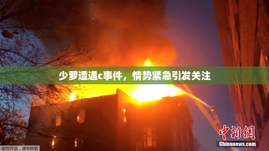 少萝遭遇c事件，情势紧急引发关注