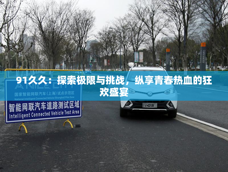 91久久：探索极限与挑战，纵享青春热血的狂欢盛宴