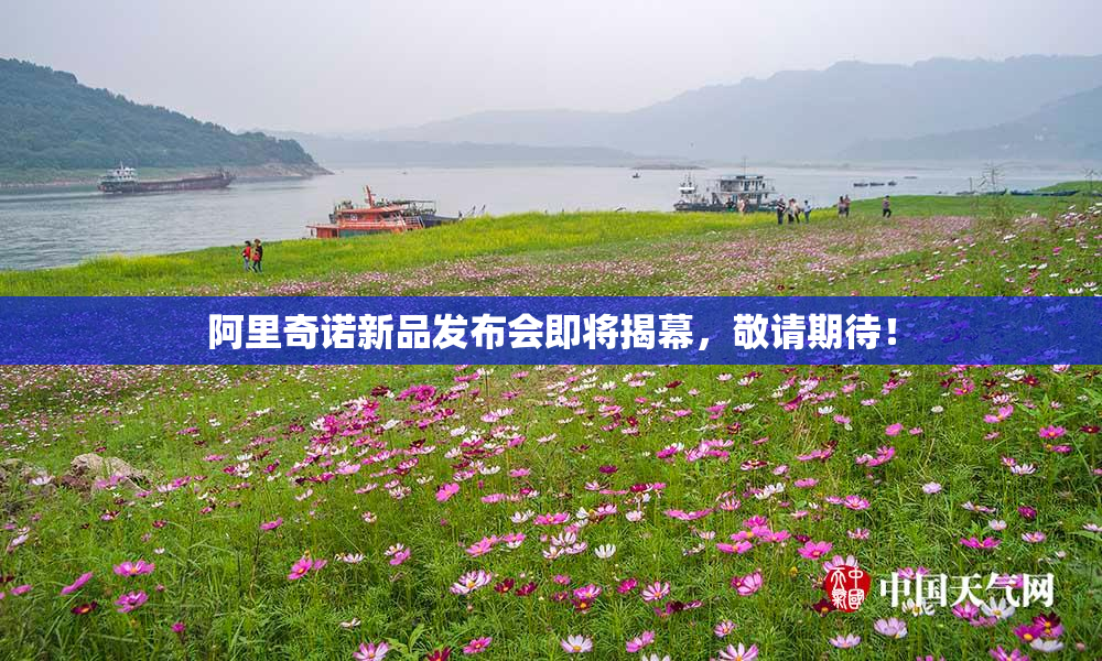 阿里奇诺新品发布会即将揭幕，敬请期待！