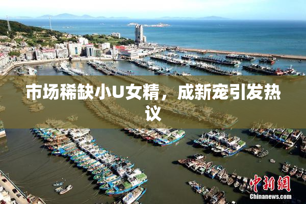 市场稀缺小U女精，成新宠引发热议