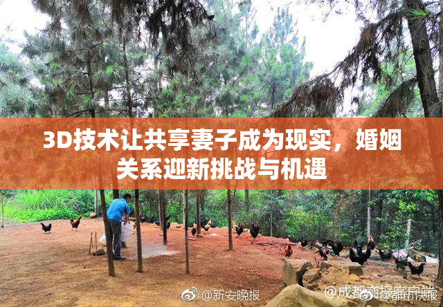 3D技术让共享妻子成为现实，婚姻关系迎新挑战与机遇