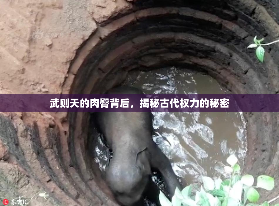 武则天的肉臀背后，揭秘古代权力的秘密