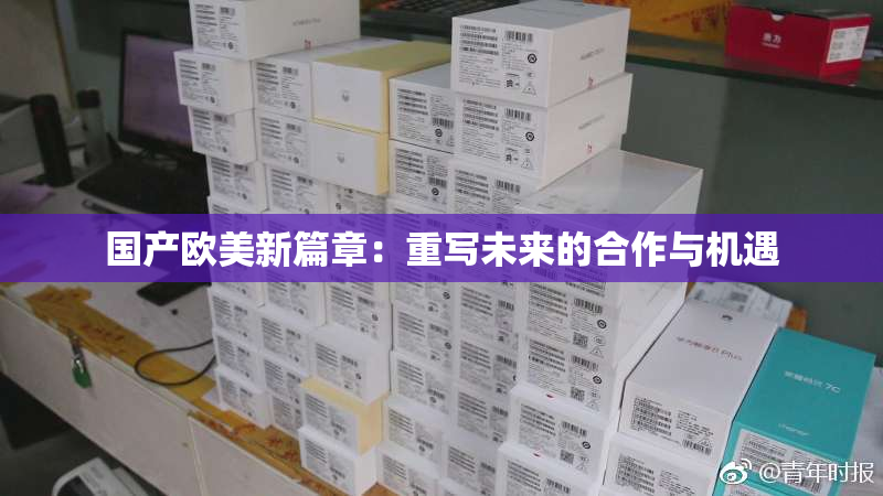 国产欧美新篇章：重写未来的合作与机遇